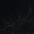 Все сцены с Годзиллазавром в HD Godzilla Minus One