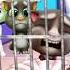 Why Is Tom Crying My Talking Tom Shorts Tom Animation Cartoon Mytalkingtom2 Trend
