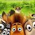 Madagascar 2 Teil 36