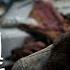 Godzilla Minus One Accolades TV Spot