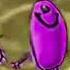 United Plankton Pictures Inc Nickelodeon 2008 With 6 Effects