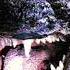 Godzilla 1989 Roar Sound Effect