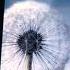 Samsung Galaxy S2 Plus 2 Startup And Shutdown