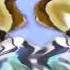 NEW EFFECT Klasky Csupo In G Major 49662