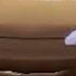 Cars The Video Game Tourists Voice Clips Japanese