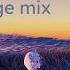 Lucid Future Garage Mix