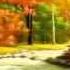 Enya The First Of Autumn