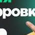 15 рублей за час транскрибация аудио онлайн в Scribidi