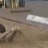 03 декабря 2013 Анонс Новостей