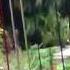 Mary Keller Harpist Playing Nino S Waltz By Carol Robbins