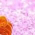 Winx Club Season 2 Ending Rai Stil