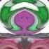 EIGHTH NEW EFFECT Klasky Csupo In G Major 605 V2