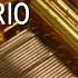 Help Me ERINNNNNN BeatMARIO Music Box