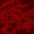 WARNING LOUD Klasky Csupo G Major 289 Instructions