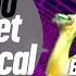 Get Physical Radio Best Of Get Physical Music 2025