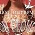 Analog Journey Into Iron Flowers 2005