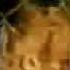 UlkerCamlicaKopek 32 2003 Broadband Flv