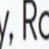 Google Translate Is Not Functioning Properly