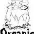 Vincent De Moor Fly Away Organic Soup Remix