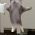 10 Happy Happy Happy Cat Part 3 Sound Variations In 36 Seconds Soundvariations Happycats Cat