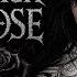 Black Rose