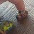Cars 3 This Is My Last Chance Cruz Bulgarian