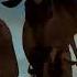 The Lion King 1994 The Stampede
