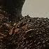 GODZILLA MINUS ONE Godzilla Arrives FULL Scene In Order HD Edit