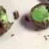 Cadbury Screme Eggs Review