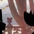 Timon And Pumbaa Rewind Star Wars Episode II Attack Of The Clones Season 2 Finale