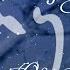 THE ECHOES OF ENYA Track 13 The First Of Autumn