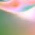 Preview 2 Skipper Deepfake Effects In G Major 74