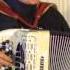 Domino Valse Accordion