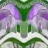 Preview 9000 Effects Confusion G Major 4 Reversed
