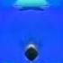 Baby Little Bum Kitten Singing Sponsored By Klasky Csupo Effects