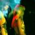 ABBA Fernando Live 1977 Complete Montage