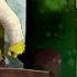 Shrek Forever After Nintendo DS Walkthrough