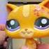 Nyan Cat Evolution