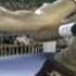 Fight Night 2004 Game Intro