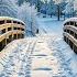 Peaceful Relaxing Music Gentle Instrumental Music For Calm The Wildlife Of Winter