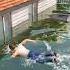 Andrew S House Floods Completely Schoolboy Runaway Stealth Gameplay