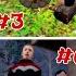 Schoolboy Escape 3 Summer Camp All 7 Endings Full Gameplay
