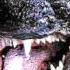 Godzilla Vs Biollante Godzilla 1989 OST
