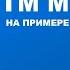 Как работать с UTM метками на примере конструктора Tilda