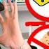 Eva And Friends Airplane Adventures And Safety Rules For Kids