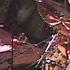 Smith Smith Drum Solo Buddy Rich Memorial Concert 1991 4K 60fps Remastered