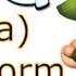 Worms 3D Russina Cyberworms Worm Voice Clip