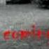 The Scorned Trailer
