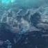 Godzilla Minus One Final Scene 4K