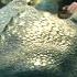 How To Train Your Dragon 2025 4K Hiccup Toothless Fly Together Movieclips